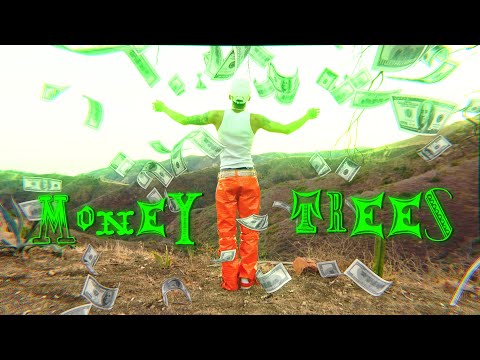 KellzDaCheefa - Money Trees (Official Music Video)