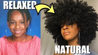 MY NATURAL HAIR JOURNEY DIARY | 1993 - PRESENT
