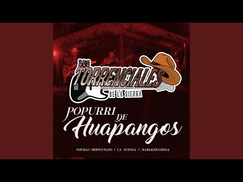 Popurri de Huapangos: Novillo Despuntado / La Tetona / Mariachuchena