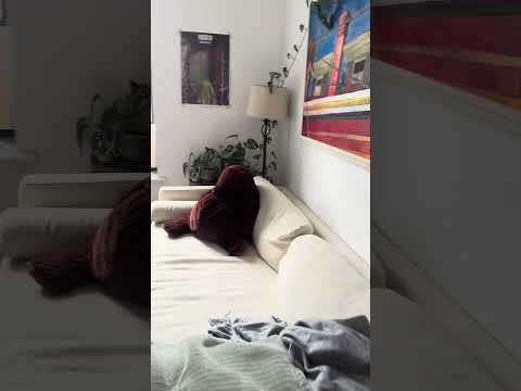 video 1