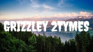 Tee Grizzley - Grizzley 2Tymes (feat. Finesse2Tymes) (Lyric video)