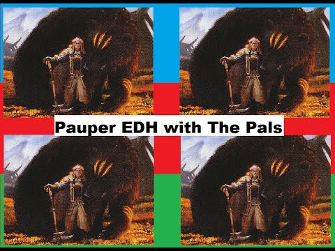 Pauper EDH with the Pals!  A BEAR'S COMPANION SHOWDOWN