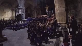 Aftermath - Muse [Cover by The Frankino&#39;s ft Carrara&#39;s primary school]