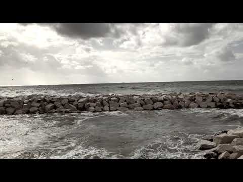 Lucariello - Odi et Amo