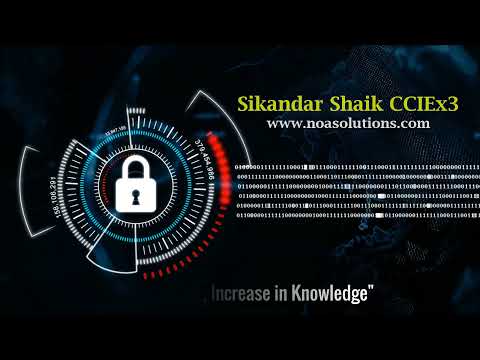 "Classifying Vulnerabilities: Understanding Network Security Risks"