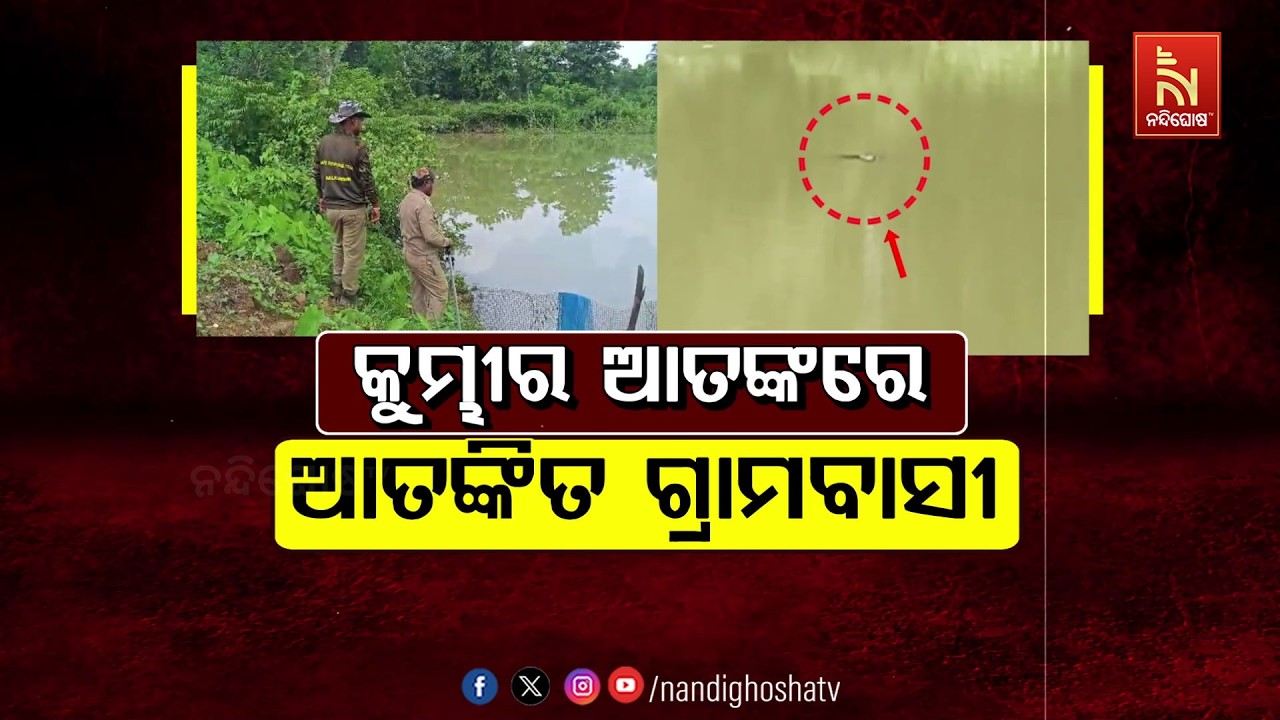 🔴Live | କୁମ୍ଭୀର ଆତଙ୍କରେ ଆତଙ୍କିତ ଗ୍ରାମବାସୀ