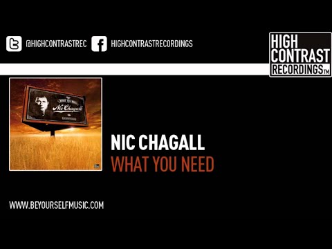 Nic Chagall  - What You Need (Original Extended)