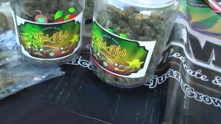 Jamaica Open Air Weed Market @ High Times Cannabis Cup 2015