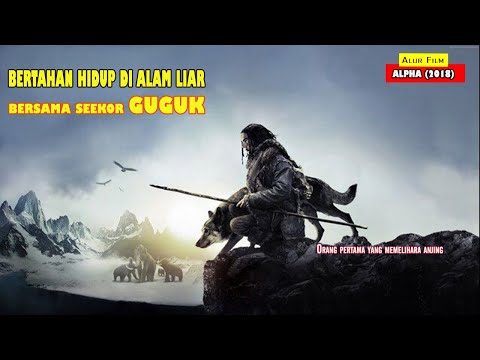 [SURVIVAL] BERTAHAN HIDUP DI ALAM LIAR BERSAMA SEEKOR SRIGALA || ALUR FILM ALPHA (2018)