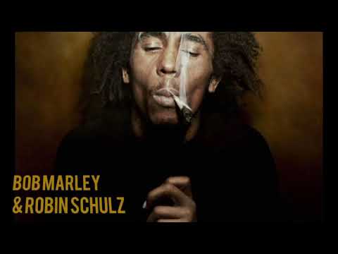 BOB MARLEY & ROBIN SCHULZ - Sun Is Shining [Record Mix]🎵