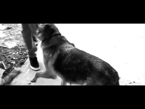 Thought About It cover
