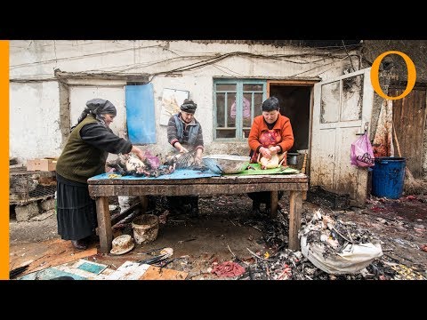 Food market in Telavi: Georgian food tour in a local market