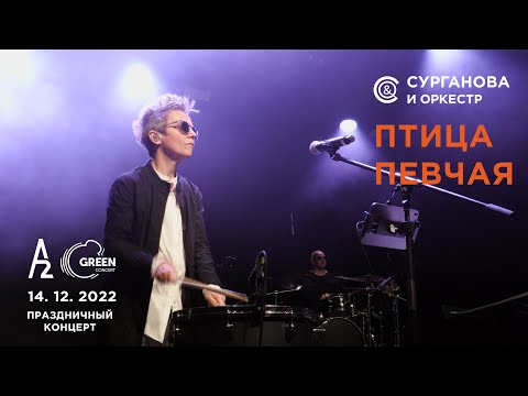 Птица певчая - Сурганова и Оркестр (А2 Green Concert, Санкт-Петербург, 14.12.2022)