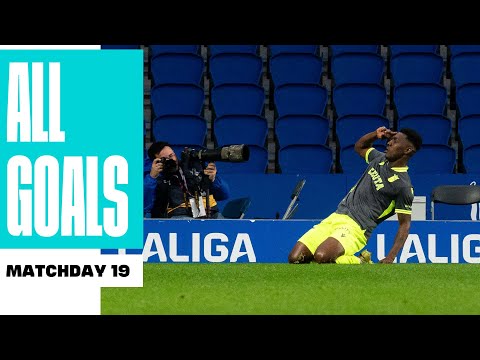 TODOS los GOLES de la JORNADA 19 de LALIGA HYPERMOTION 2025/26