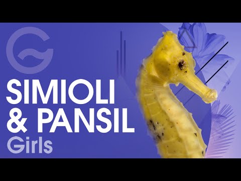 SIMIOLI & PANSIL - Girls [Official]