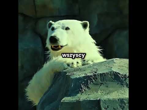 Największy sekret zoo wyszedł na jaw 😱