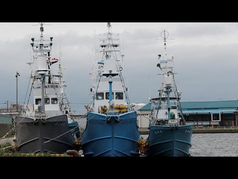 Giappone: dal 1 luglio ricomincerà la caccia alle balene