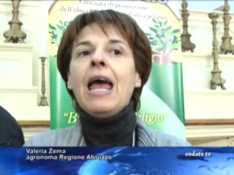 ONDA TG 11.02.2013 - FRANTOLIO 2013