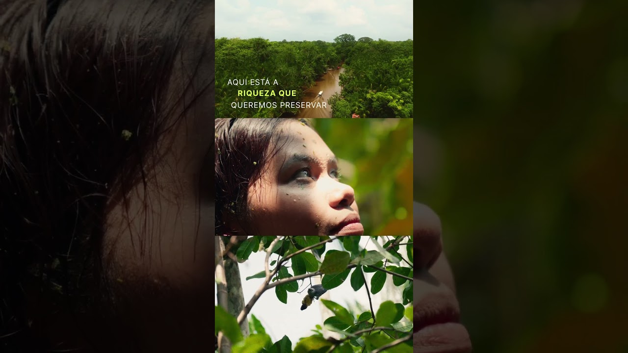 A riqueza que o mundo vai descobrir na COP 30