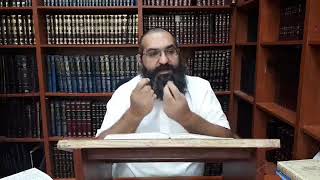 Parachat Houkat selon le Rabbi Toutes les mitsvot liees a la vache rousse