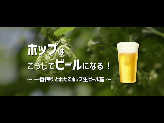 BEER EXPERIENCE株式会社