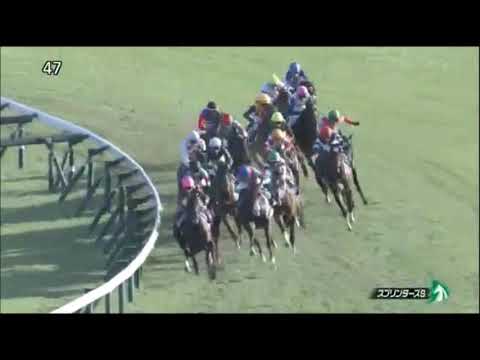 スプリンターズステークス2021