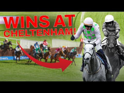 5 horses who WILL win at the Cheltenham Festival! 👀