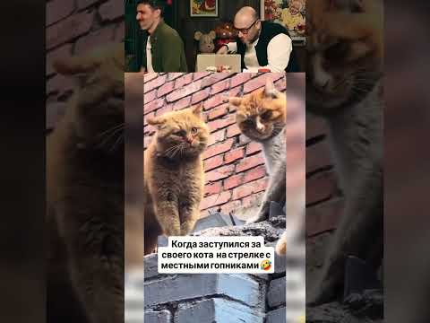 ЭТО ЛУЧШИЙ ПРИКОЛ №72 🤣 👍🏻