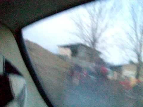 tiganii din sotrile(prahova) batand bietele animale