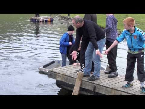 Nesvík 2010   del 2