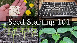 How To Start Vegetable Seeds - The Definitive Guide For Beginners