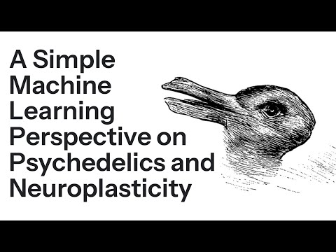 A Simple Machine Learning Perspective on Psychedelics and Neuroplasticity