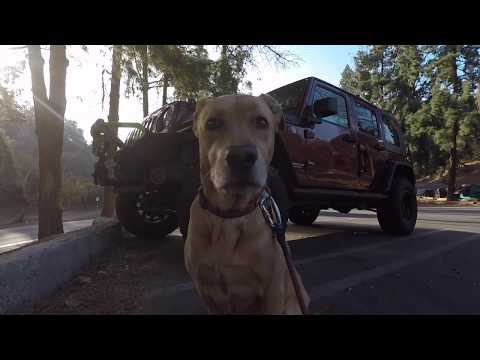 Christmas Hike N Bike