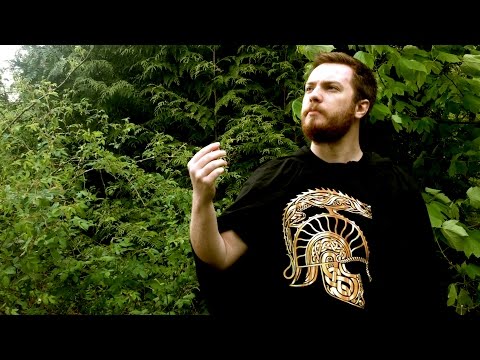 Tolkien Memorised - Song of Eärendil