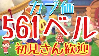 【あつ森とテトリス】カブ価561ベル島など　ライブ参加型
