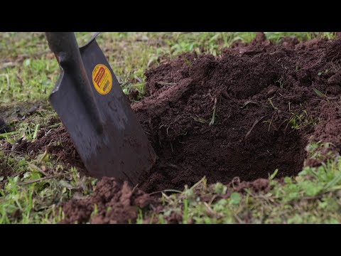 Missão Sementes de Solidariedade ajuda no replantio da vegetação no RS