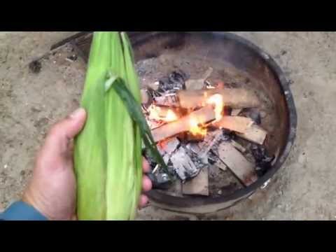 How To Cook Corn On The Cob In A Campfire - Campfire Meal