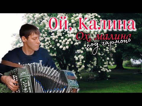 Очень красивая песня ОЙ КАЛИНА, ОХ МАЛИНА - Алексей Кракин /под гармонь