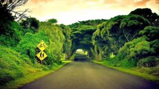 Evergreen  - Richard Poon