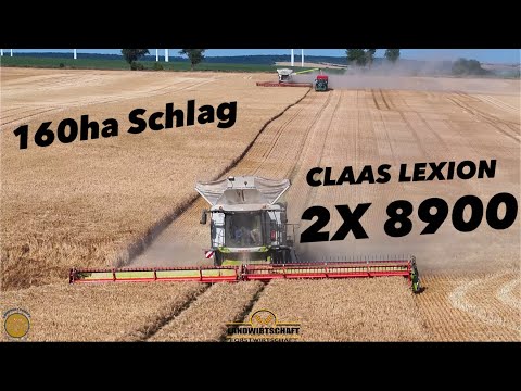 Wir Dreschen den 160ha Schlag! Hier sehen selbst die 2 Claas Lexion 8900 klein aus Getreideernte
