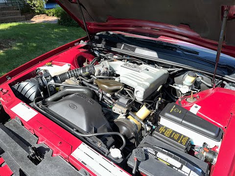 1992 Ford Thunderbird (CC-1927248) for sale in Hingham, Massachusetts