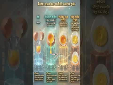 How to cook eggs the proper way #motivation #fitneess #gym #eggweights #healthyfood #bestegg