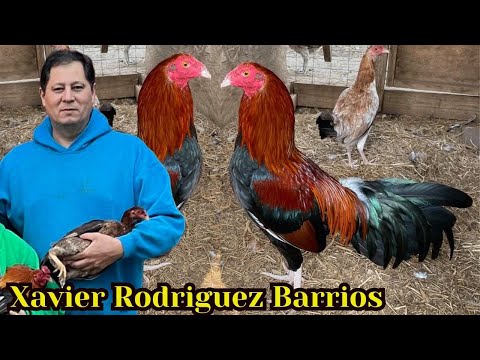 Corral Xavier Rodriguez Farm Tennessee