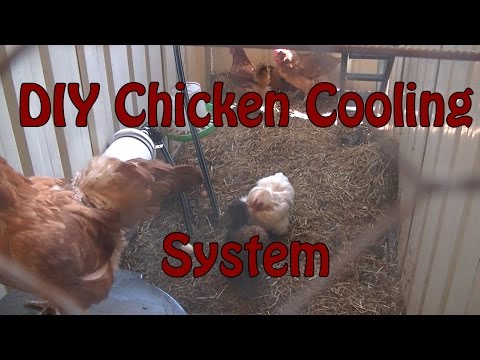 DIY automated chicken cooling/misting system