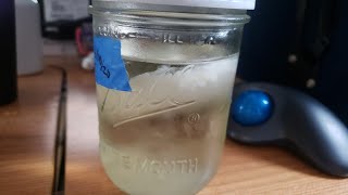 How Long Does Liquid Culture Last ?