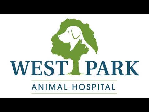 West Park Animal Hospital YouTube video thumbnail 21