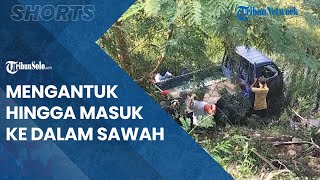 Berita Solo Hari Ini: Pengemudi Pikap Mengantuk dan Banting Setir hingga Terperosok ke Persawahan