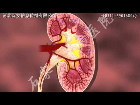 Micro Chinese Medicine Osmotherapy - kidney disease treatment