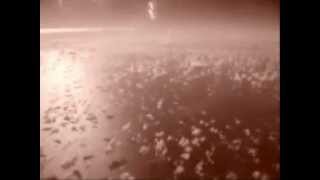 the Star Charts - don't ask why (my bloody valentine)