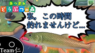 出現時間の間違いに気がつかない哀れな男たち【あつまれどうぶつの森】#16